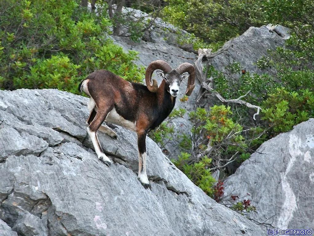 Turismo Rurale Su Cuile Villa Dorgali